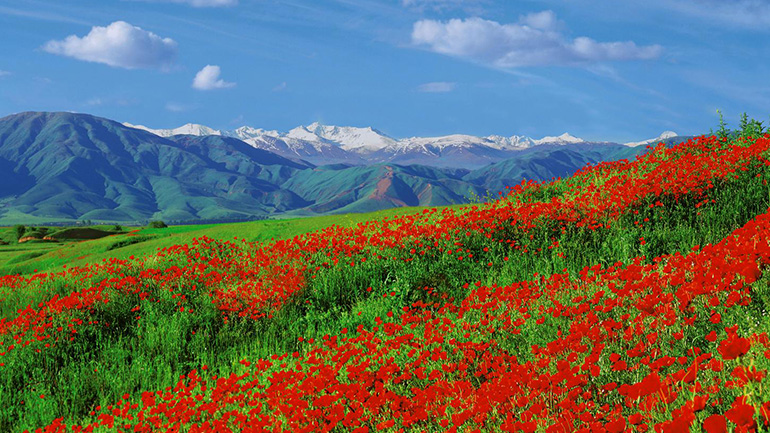 YOUR VISA TO KAZAKHSTAN